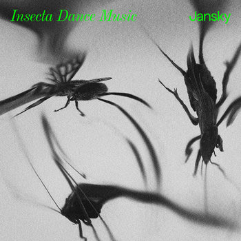 rampa_insecta_dance_music